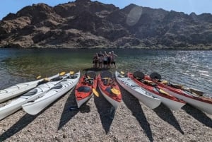 Las Vegas: Kayak Tour to Cranes Nest Wash with Photos