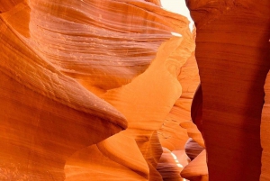 Las Vegas : Visite à la journée du Lower Antelope Canyon et de Horseshoe Bend