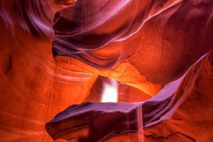 Las Vegas: En dagsomvisning i Lower Antelope Canyon og Horseshoe Bend