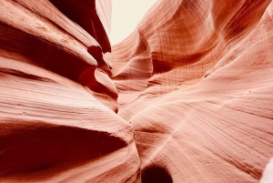 Las Vegas: Excursão de 1 dia ao Lower Antelope Canyon e Horseshoe Bend