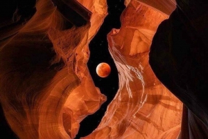 Las Vegas: Excursão de 1 dia ao Lower Antelope Canyon e Horseshoe Bend