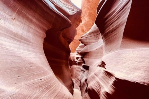 Las Vegas: Tour di 1 giorno del Lower Antelope Canyon e Horseshoe Bend