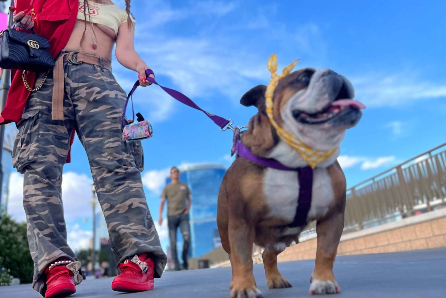 Las Vegas Luxe: Ervaringen met privépartners