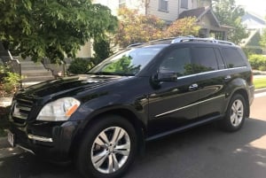 Аэропорт Лас-Вегас Маккаран (LAS): Трансфер в Лас-Вегас