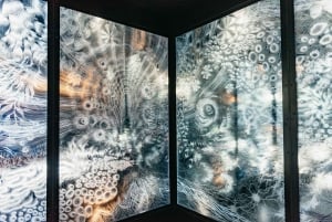 Las Vegas: Meow Wolf - Omega Mart Biglietto VIP