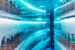 Las Vegas: Meow Wolf - Omega Mart VIP-billett