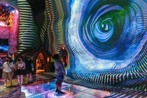 Las Vegas: Meow Wolf - Omega Mart VIP-billett