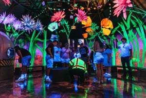 Las Vegas: Meow Wolf - Omega Mart VIP-billett