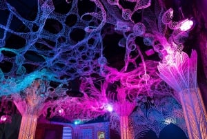 Las Vegas: Meow Wolf - Omega Mart VIP-billett