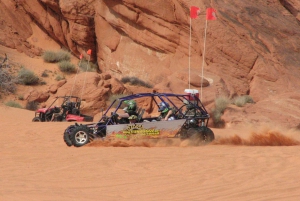 Las Vegas: Mini Baja duin Buggy achtervolgingsavontuur