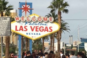 Las Vegas : Désert de Mojave, 7 montagnes magiques, visite des panneaux de signalisation de Las Vegas