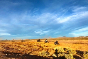 Las Vegas: Excursión en quad por el desierto de Mojave con recogida