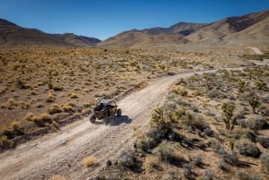 Las Vegas Mojave Off Road Adventure | Guidet tur – La oss kjøre!