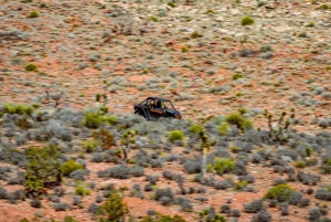 Las Vegas Mojave Off Road Adventure | Guidet tur – La oss kjøre!