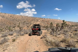 Las Vegas Mojave Off Road Adventure | Guidet tur – La oss kjøre!
