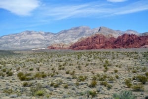 Las Vegas: Mojave, Red Rock Sign og 7 Magic Mountains Tour