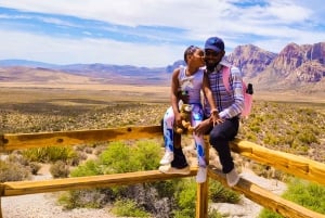 Las Vegas: Mojave, Red Rock Sign and 7 Magic Mountains Tour