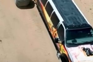 ラスベガス：モンスタートラック運転体験