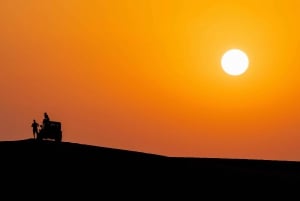 Las Vegas: Movie Night on the Sand Dunes