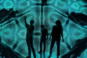 Las Vegas: Museum of Illusions Entry Ticket