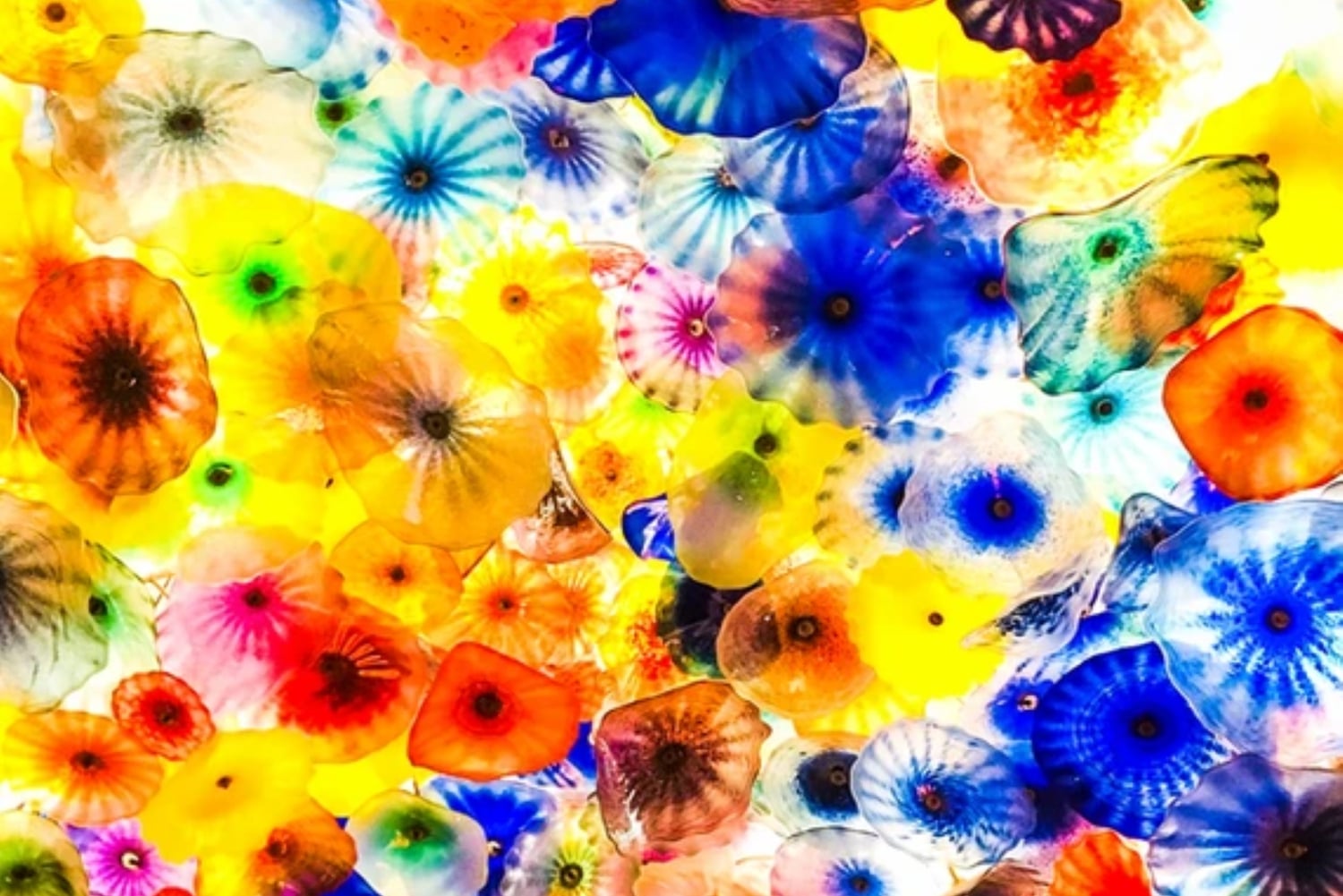 Las Vegas: Nachttour durch die Stadtführung mit Abholung vom Hotel