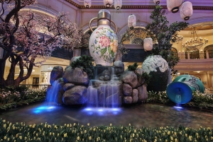 Tour nocturno por Las Vegas y Fremont St. en el centro de la ciudad