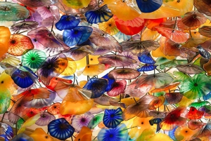 Las Vegas Night Tour, Fremont St. Experience, & Welcome sign