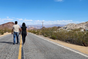 Las Vegas: Old West Adventure ATV/RZR Hele dag tour