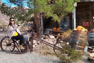 Las Vegas: Old West Adventure ATV/RZR Hele dag tour