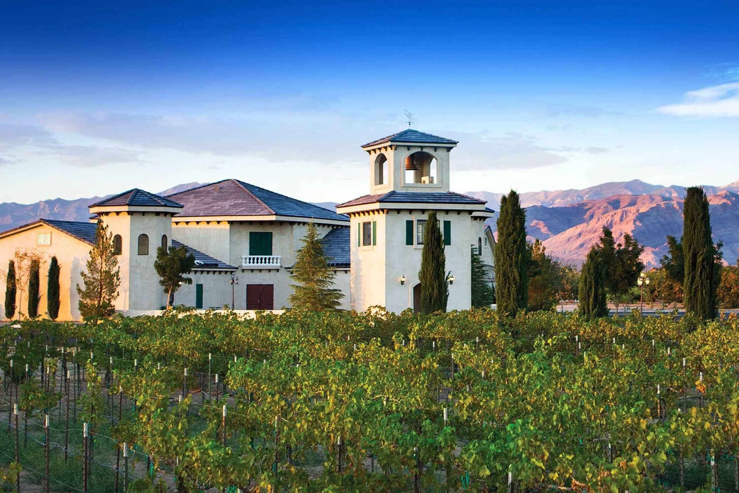 Las Vegas / Pahrump Weinverkostungs-Tour und Snacks