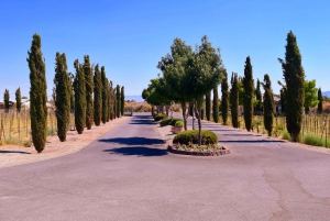 Las Vegas / Pahrump Weinverkostungs-Tour und Snacks