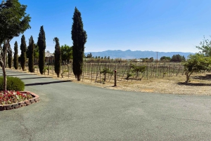 Las Vegas / Pahrump Weinverkostungs-Tour und Snacks