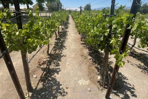 Las Vegas / Pahrump Weinverkostungs-Tour und Snacks