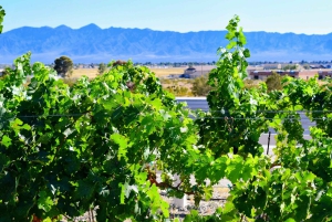 Las Vegas / Pahrump Weinverkostungs-Tour und Snacks