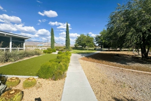 Las Vegas / Pahrump Weinverkostungs-Tour und Snacks