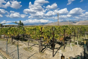 Las Vegas / Pahrump Weinverkostungs-Tour und Snacks