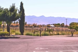 Las Vegas: Tour del vino di Pahrump con musica dal vivo