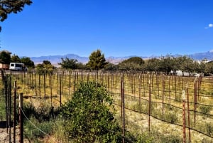 Las Vegas: Pahrump Wine Tour Pahrump Wine Tour med livemusik