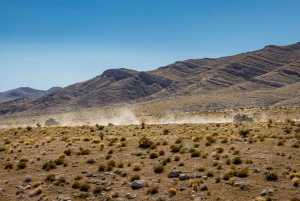 Las Vegas Pioneer Saloon Adventure - Guided Tour With Lunch