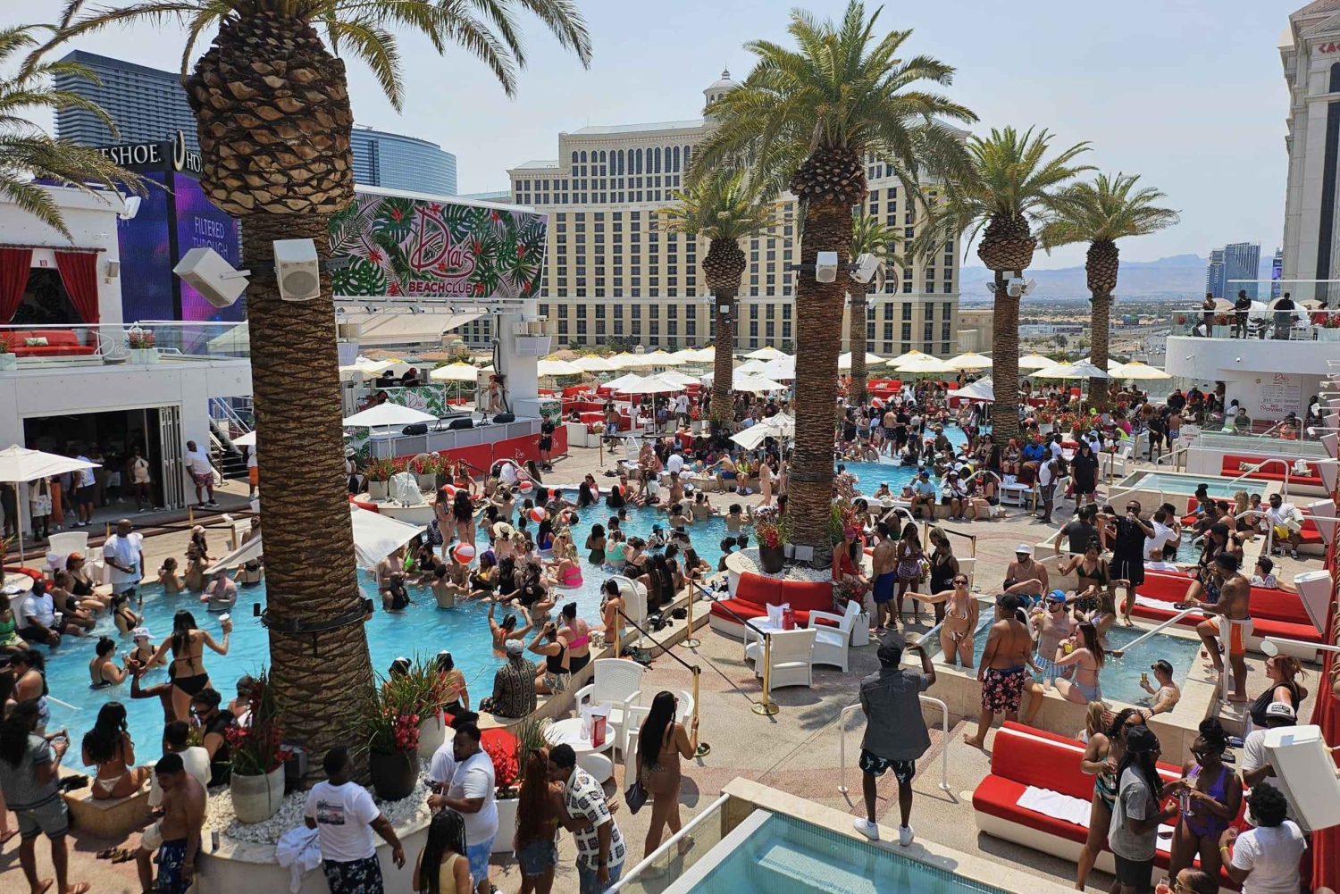 Las Vegas: Pool Crawl med festbuss, åpen bar og VIP-inngang