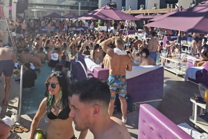 Las Vegas: Pool Crawl med festbuss, åpen bar og VIP-inngang