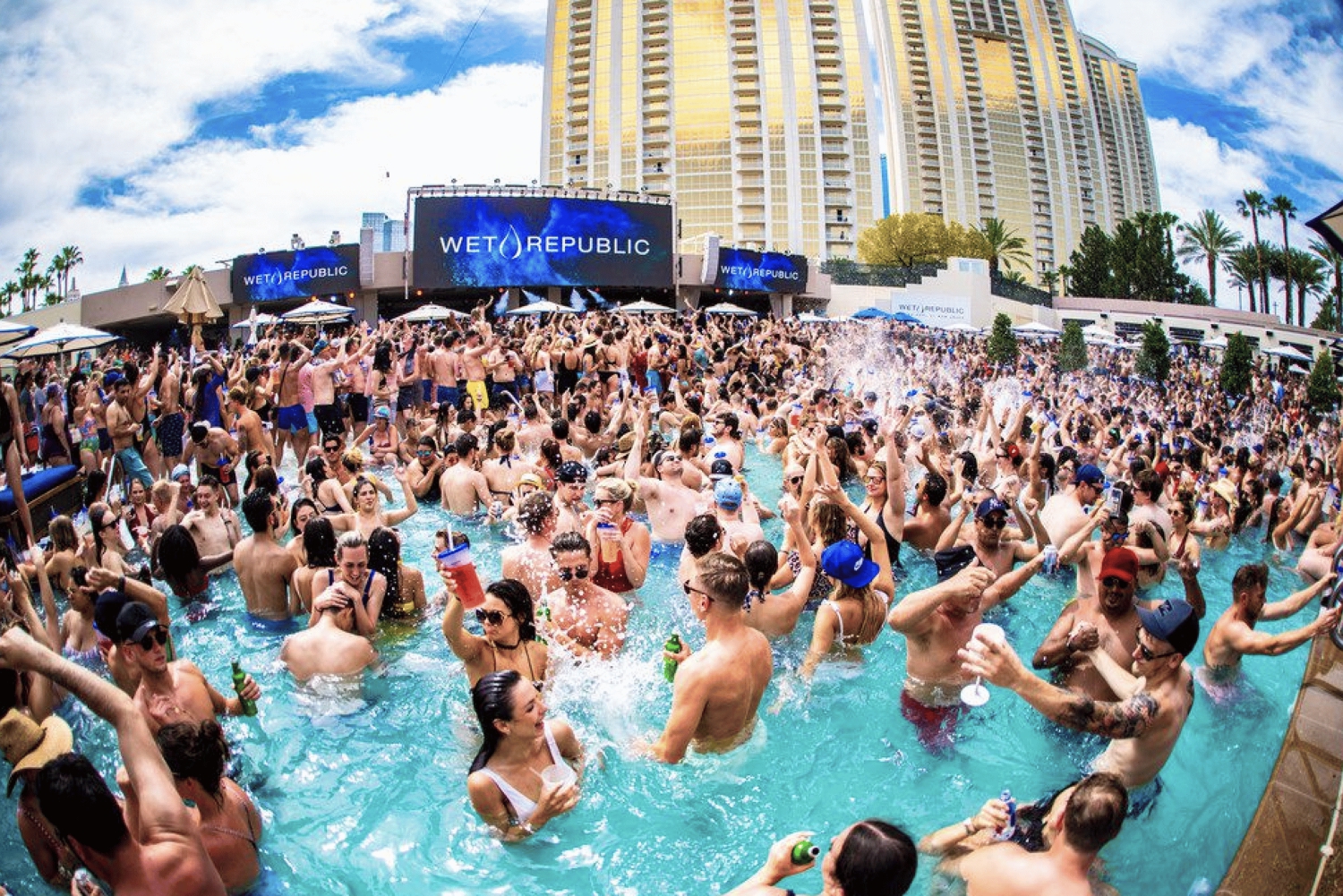 Las Vegas: zwembadtour met partybus en gratis drankjes