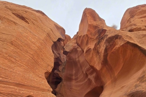 Las Vegas: Privé 3-daagse Mighty Five Aerial Adventure Safari