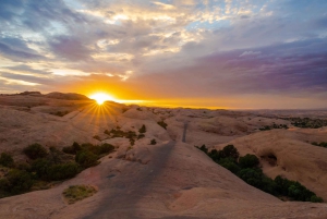 Las Vegas: Privé 3-daagse Mighty Five Aerial Adventure Safari