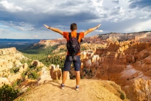 Las Vegas : safari aérien privé de 3 jours dans les parcs nationaux