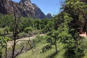 Las Vegas : safari aérien privé de 3 jours dans les parcs nationaux