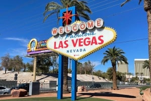 Las Vegas: privé 7 Magic Mountains en Vegas Sign Car Trip