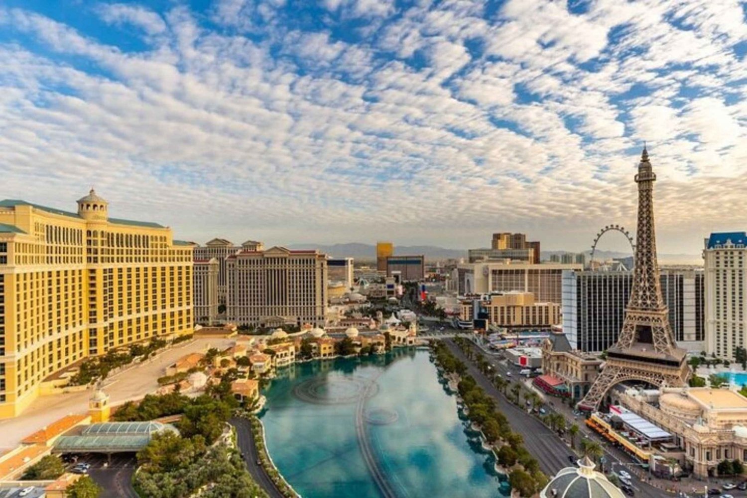 Las Vegas: Private custom tour with a local guide