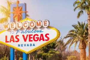 Las Vegas: Private custom tour with a local guide