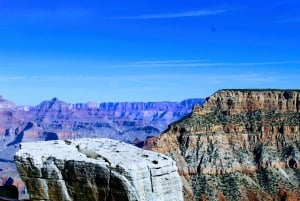 Las Vegas: Excursión en autobús al Borde Sur del Parque Nacional del Gran Cañón